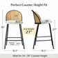 Amilia Bar Stool 2PCs White
